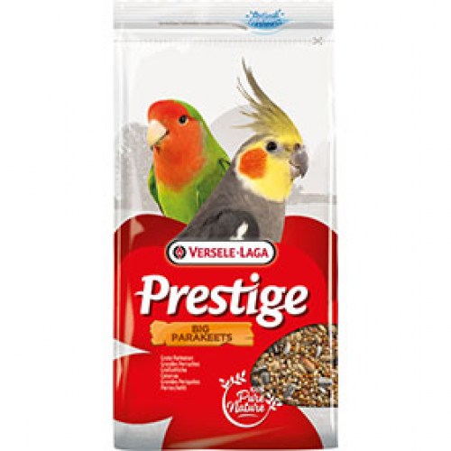 Prestige Big Parakeet - Nimfe